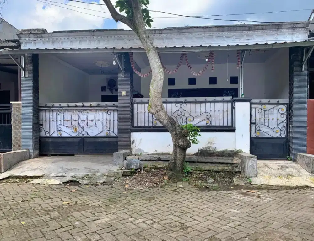 Rumah Minimalis 2KT di Graha Citra Mas Tegal Besar Jember