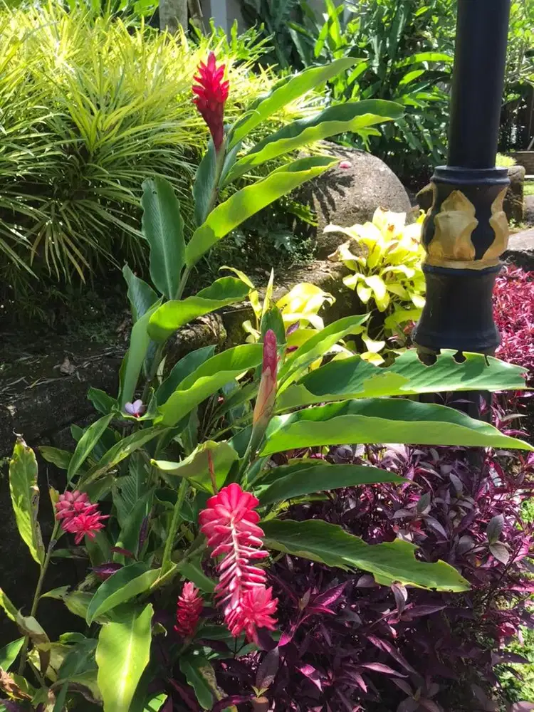 Lowongan Kerja ART Menginap