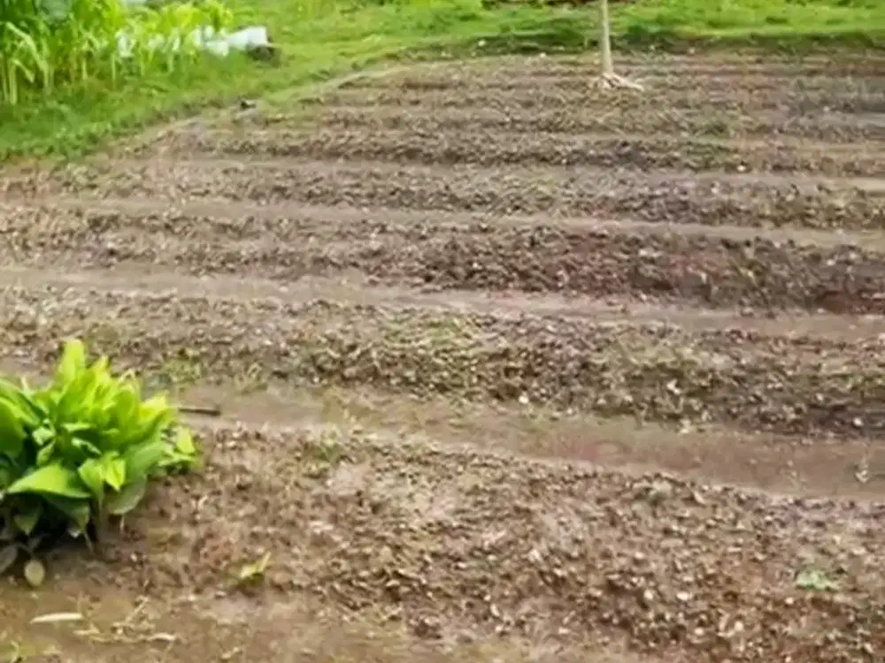 Tanah datar & kotak, Strategis dekat Kawasan Industri Jababeka Bekasi