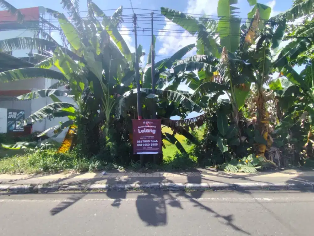 Tanah Strategis dan Luas di Kawasan Negara, Bali dekat dengan Pantai Perancak