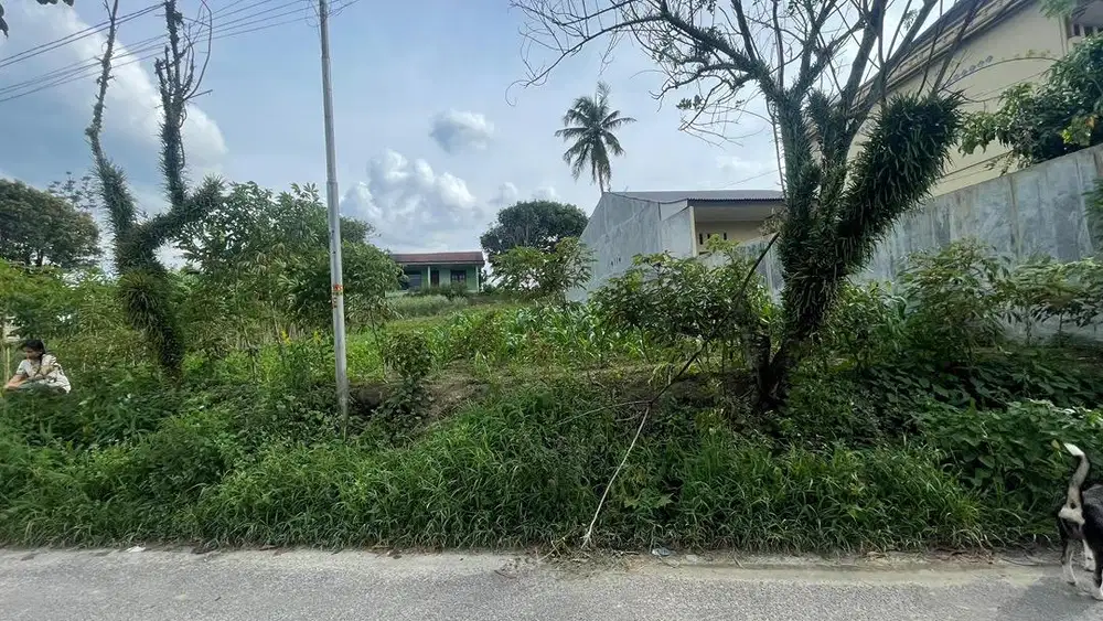 DIJUAL TANAH LOKASI STRATEGIS DI PINGGIR JALAN  (HARGA NEGO)