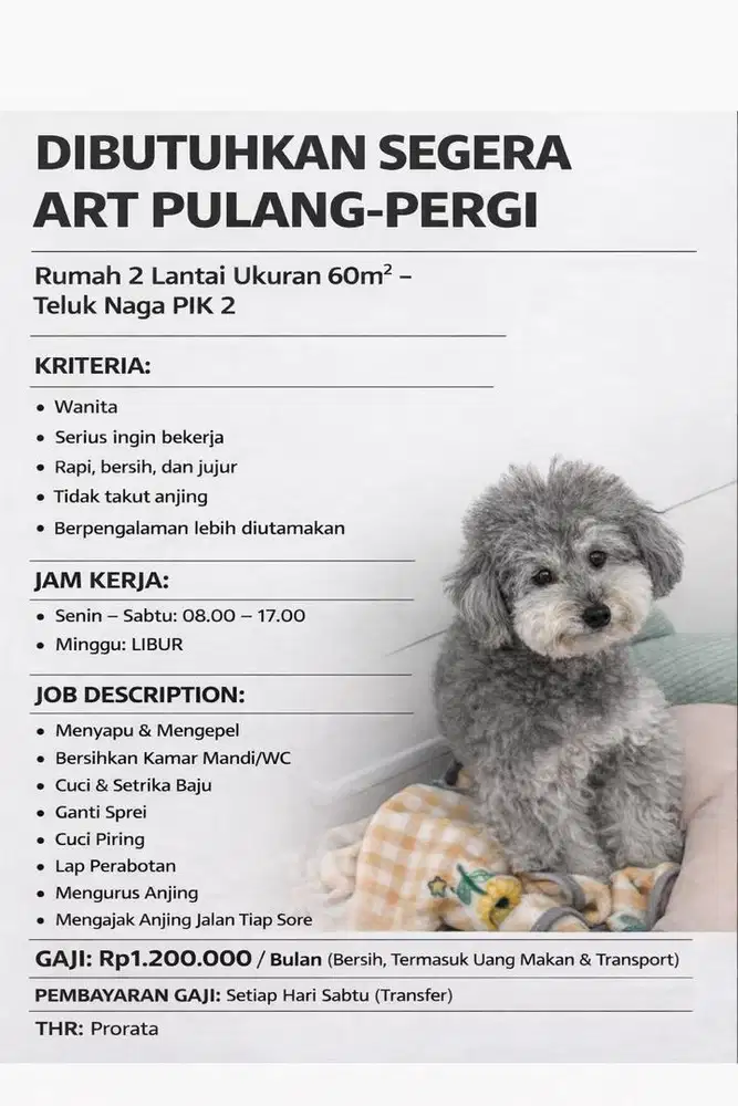 info loker di cari ART PULANG PERGI PIK 2
