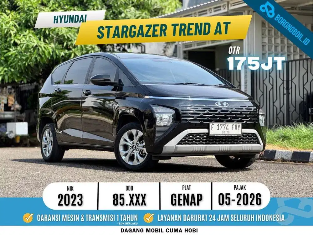 Stargazer Trend AT 2023