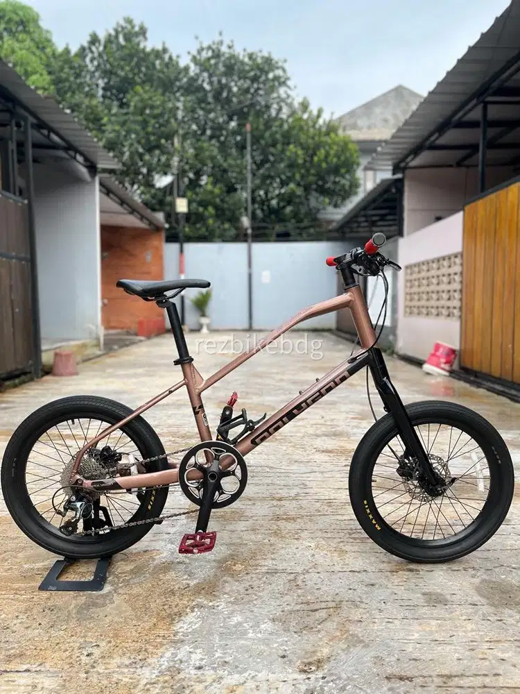 Minivelo Polygon Zetta 2  Brown Upgrade Mulus