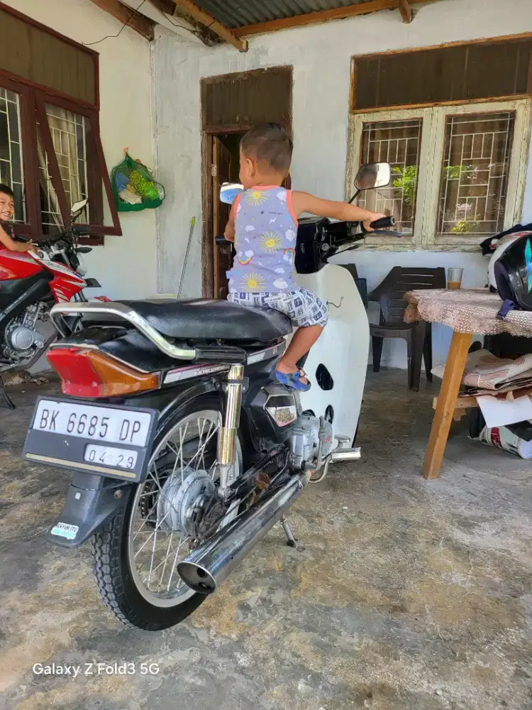 Astrea prima semi ORI