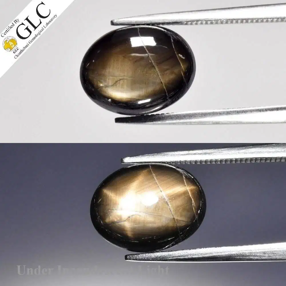 Natural Black Star Sapphire