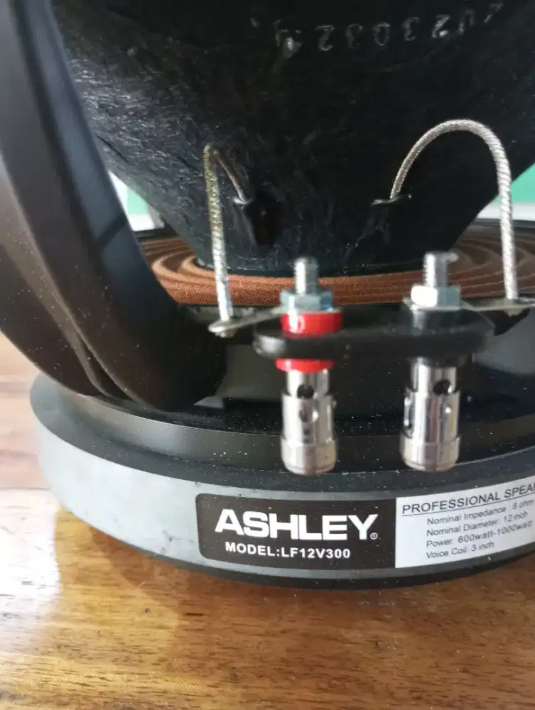 Dijual ashley 12inc