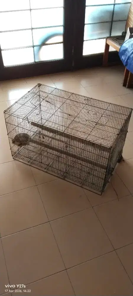 Kandang burung perkutut