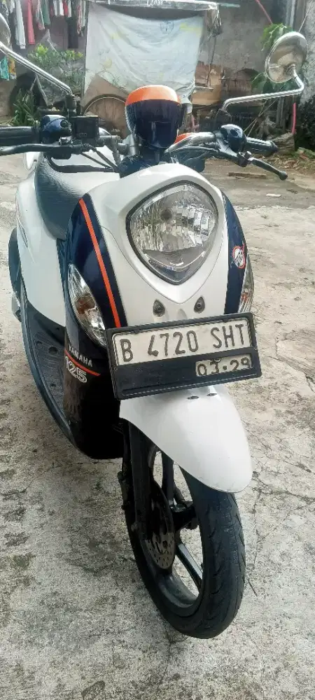 Fino 2017 warna langka