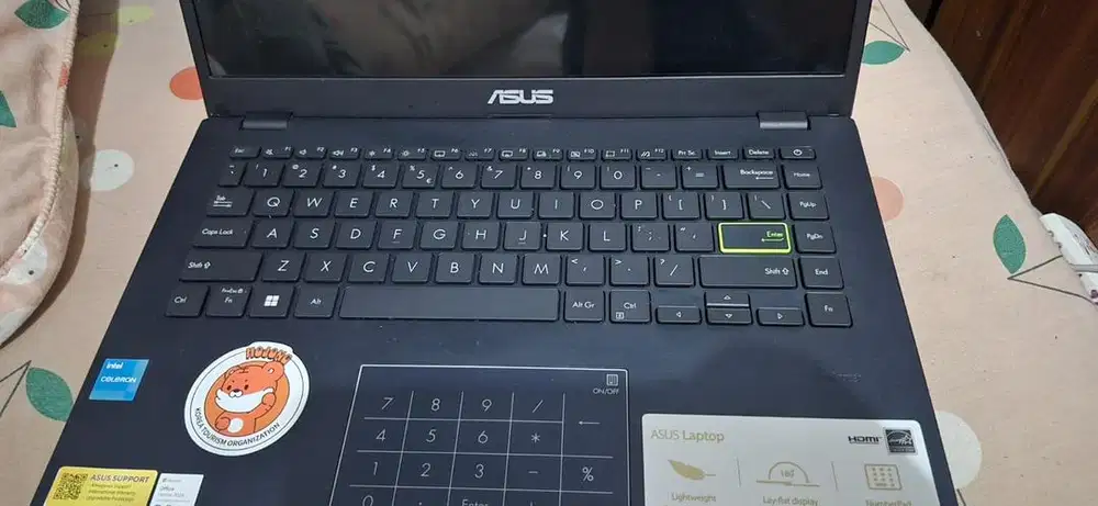 ASUS VIVOBOOK GO 14 E410KA Intel N4500