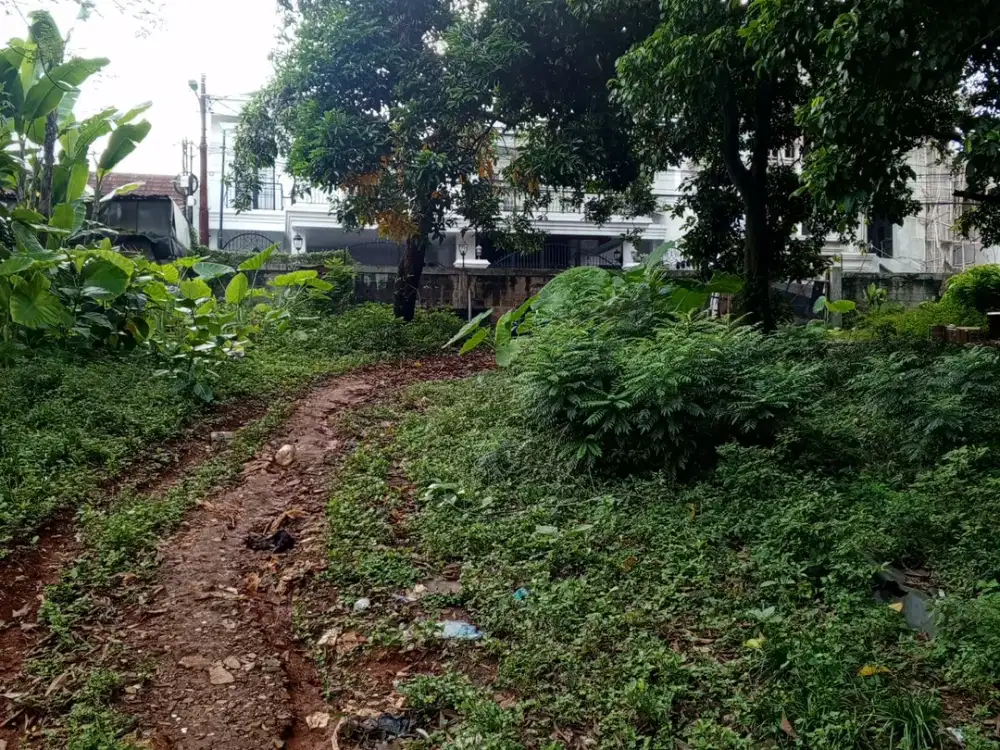 Dijual Cepat Tanah Kebon Area Ciganjur Jakarta Selatan