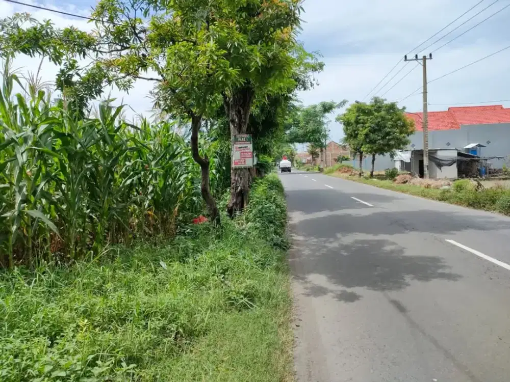 Tegalsari Tulungrejo Kec Pare Jln Veteran jual Tanah Sekoto Badas Kediri