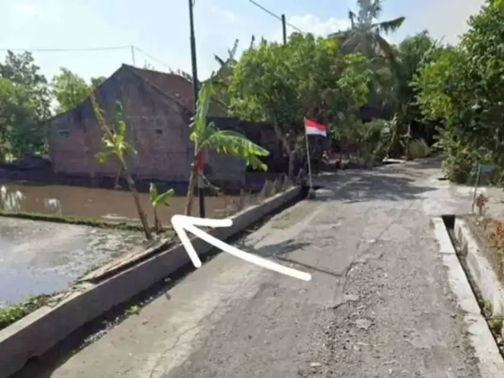 Jual Sawah Akses Jalan Aspal Lebar