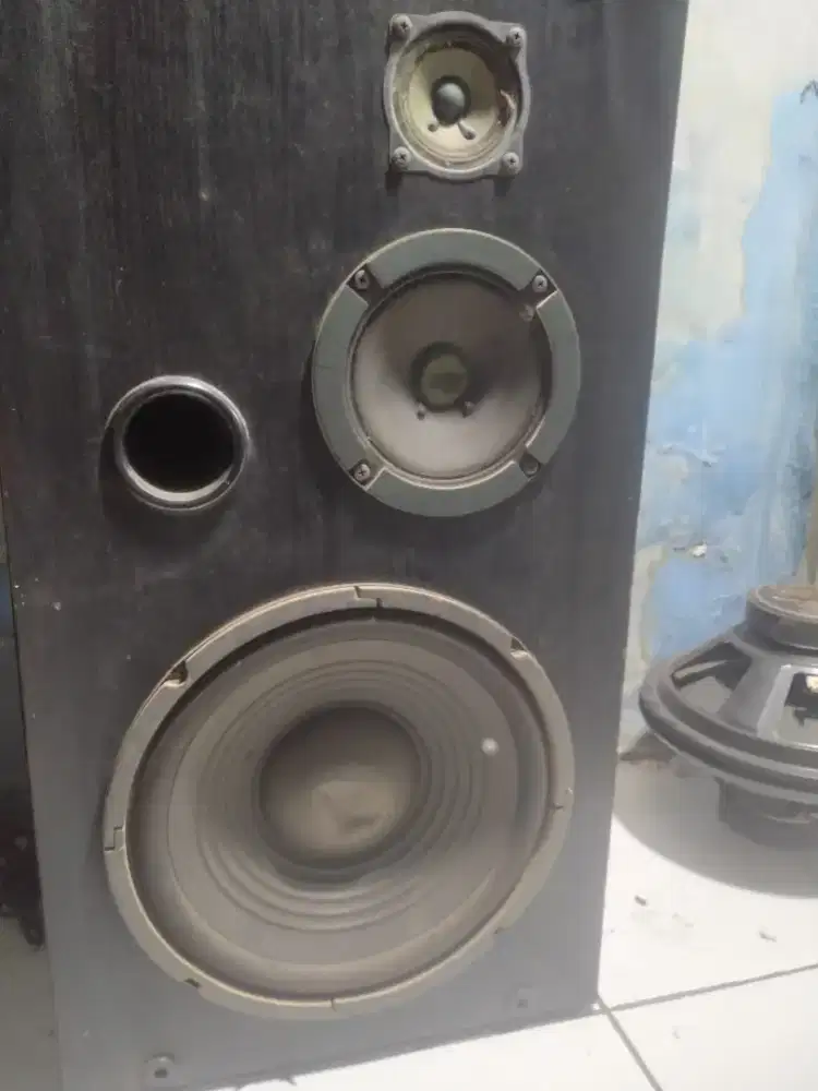 POLYTRON 3way 10 inci wofeer