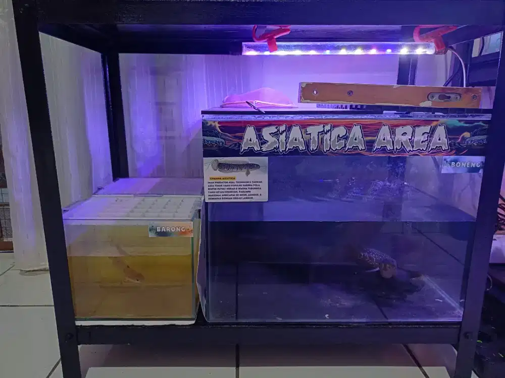 Aquarium BUNDLING 40x30x30 + 20x15x15 (2pcs)