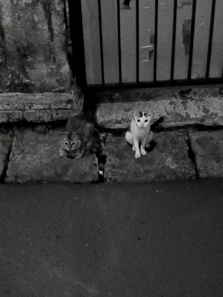 Cari kerjaan freelance