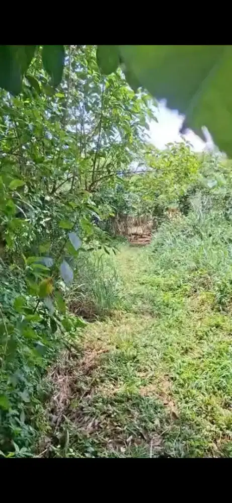 Dijual tanah kosong di daerah cibinong