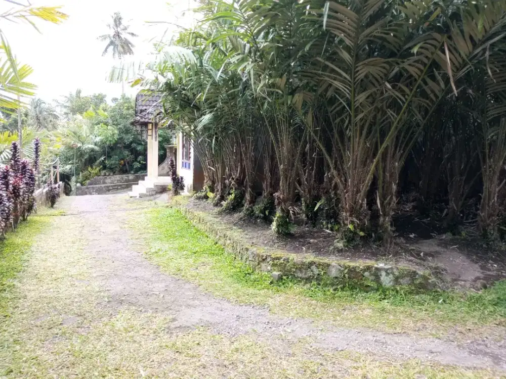 TANAH MURAH DIKAWASAN DESA WISATA ASRI LOKASI WONOKERTO TURI SLEMAN