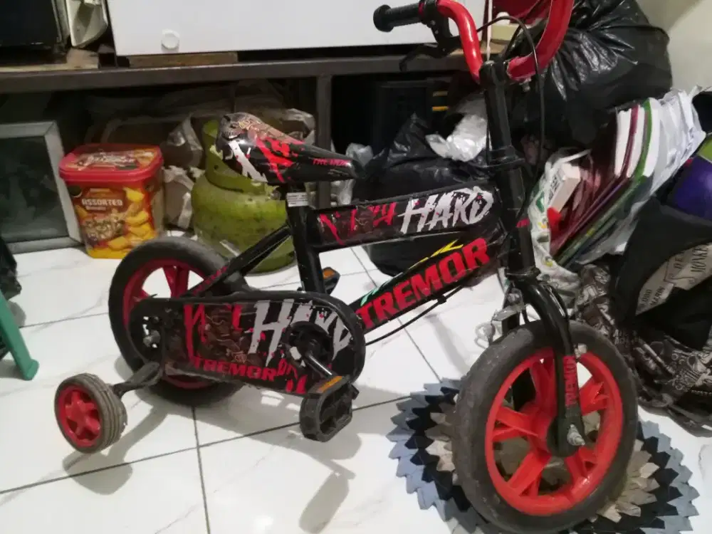 Sepeda roda 4 anak anak