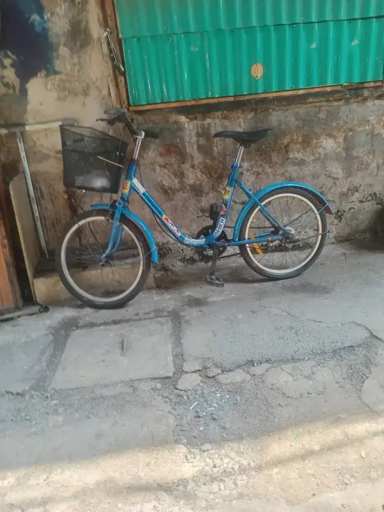 Sepeda minion uk 20 dewasa siap pakai