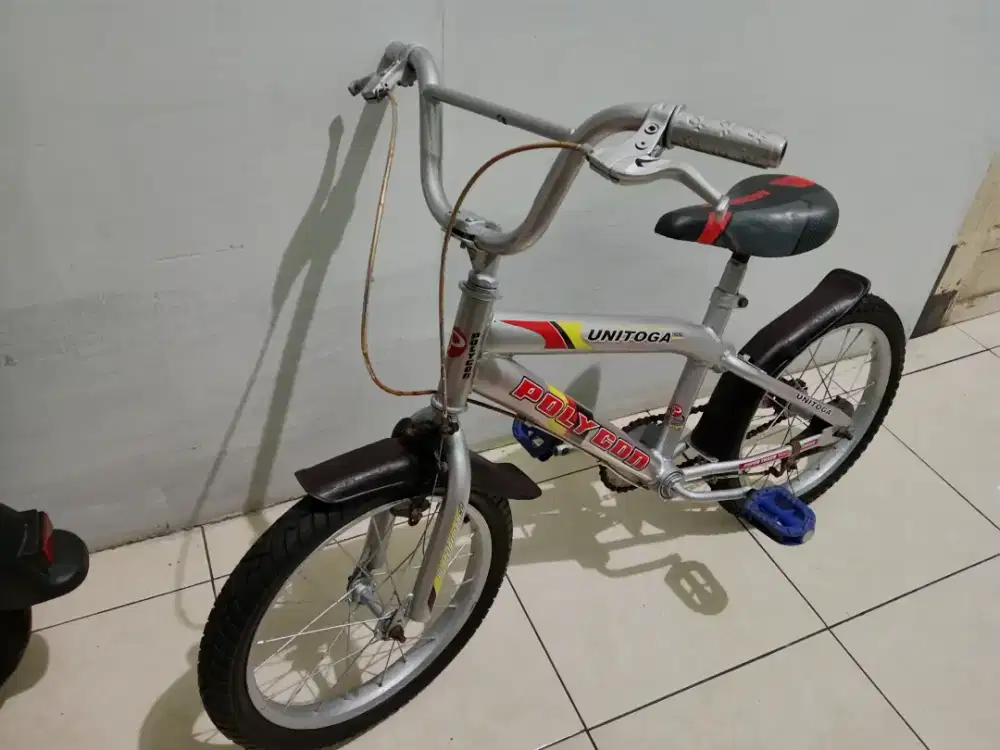 Sepeda anak warna silver