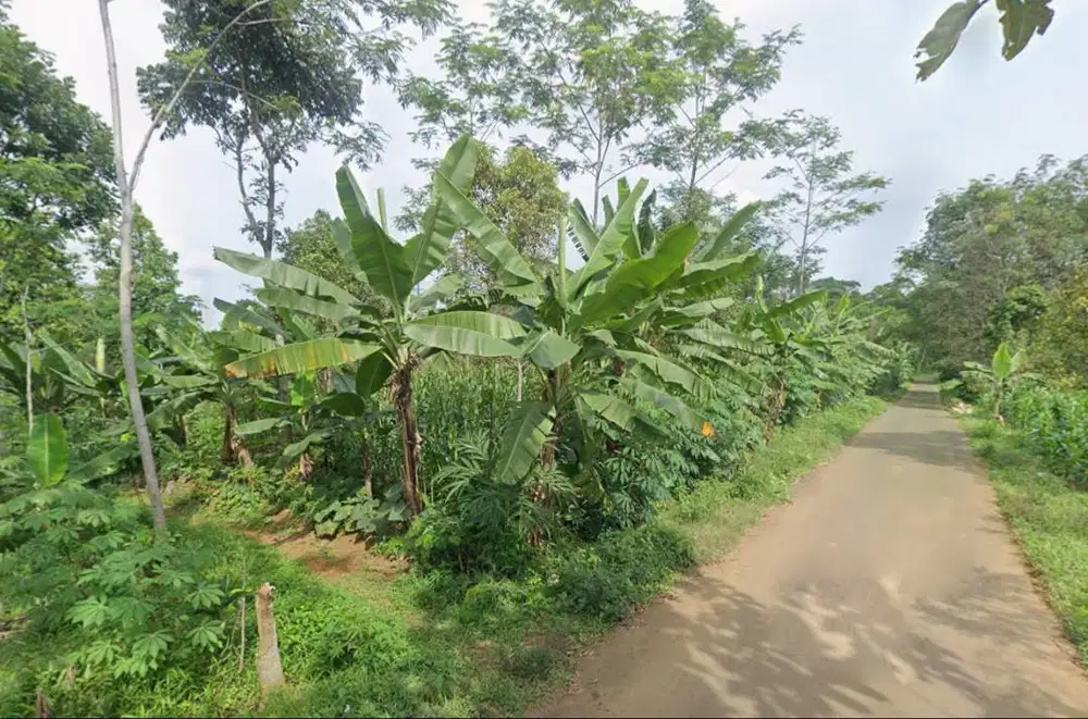 Jual Tanah SHM di Batang, Jawa Tengah