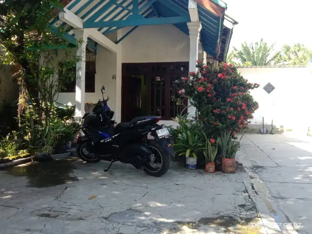 Aerox alpha standart