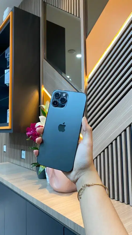 iphone 12 promax 256gb