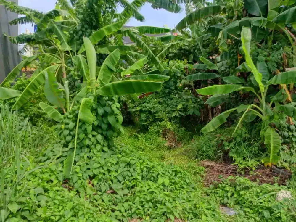Dijual Tanah Kavling di Taman Pulogebang Jakarta Timur