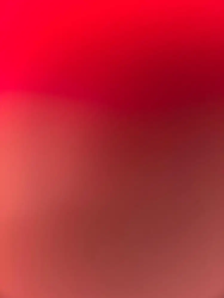 di cari pegawai soto