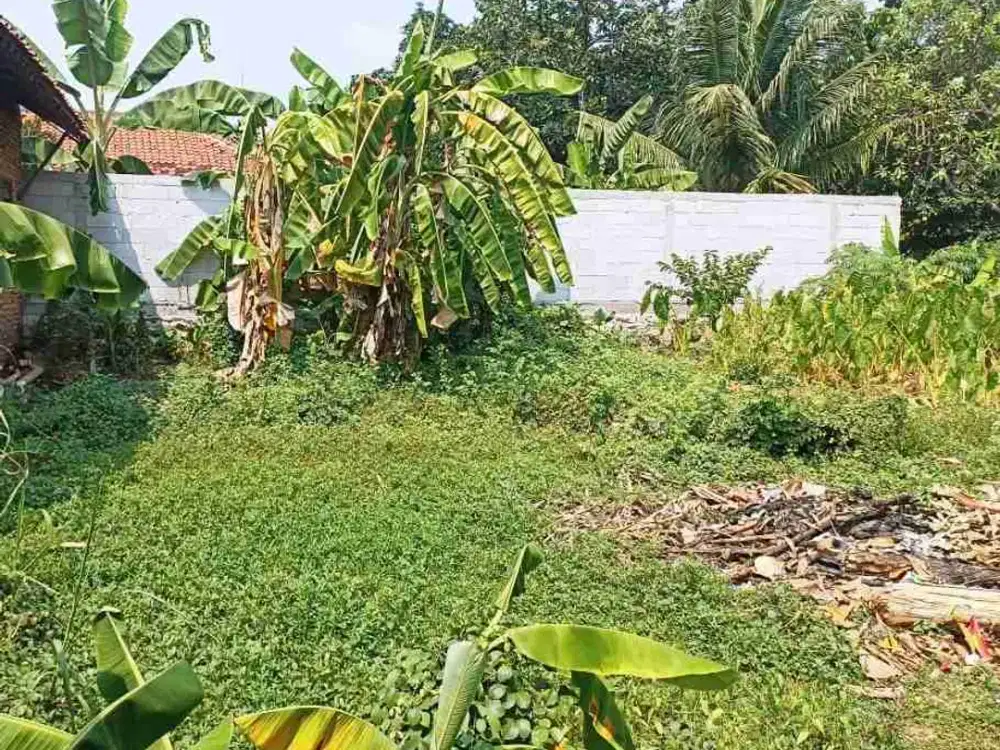 Kavling Siap Bangun di Rorotan Cilincing Jakarta Utara