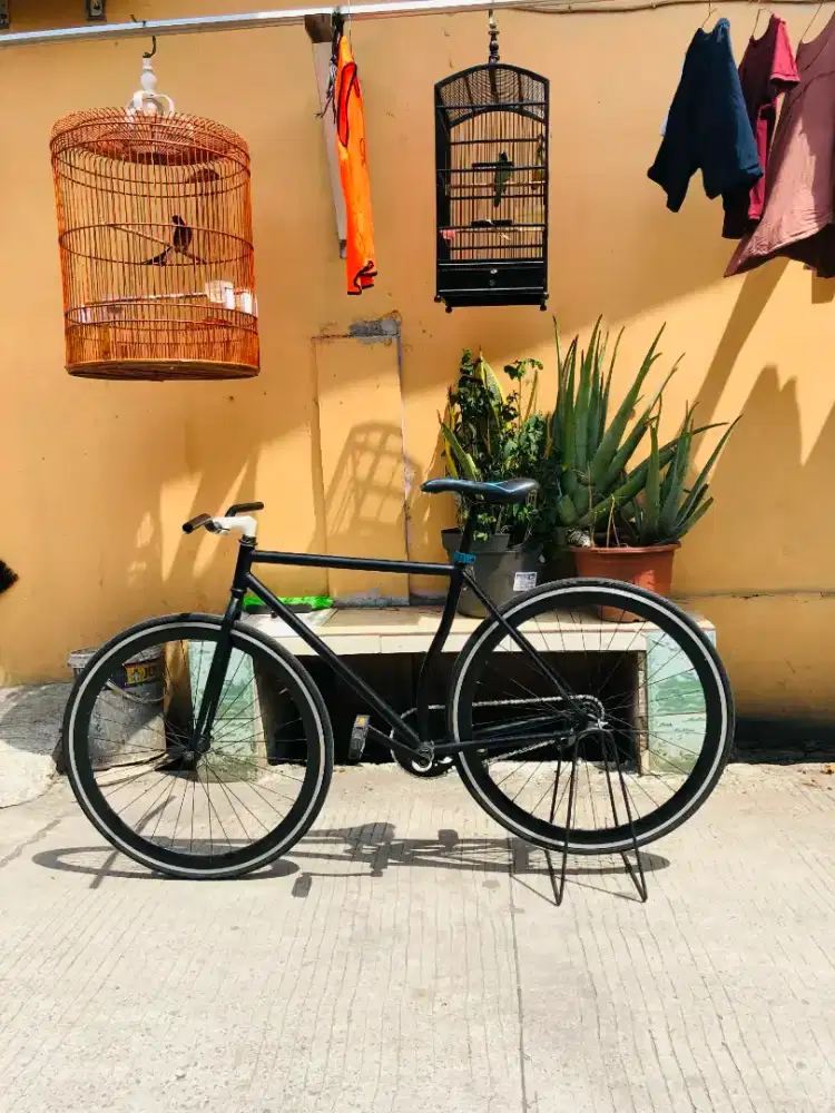 Fixie lokal rem torpedo