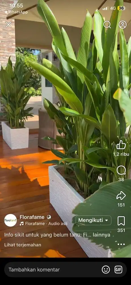 Art nginap dan mahir bawa motor