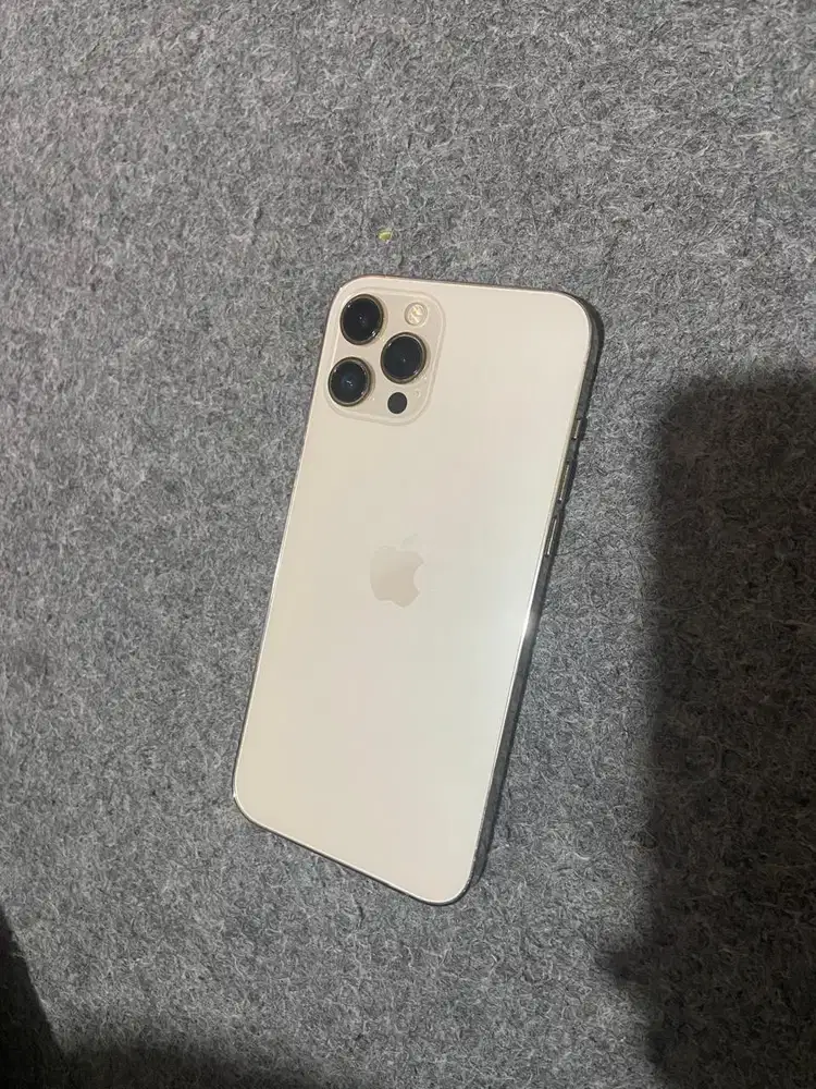 Ip 12 Promax 256GB inter