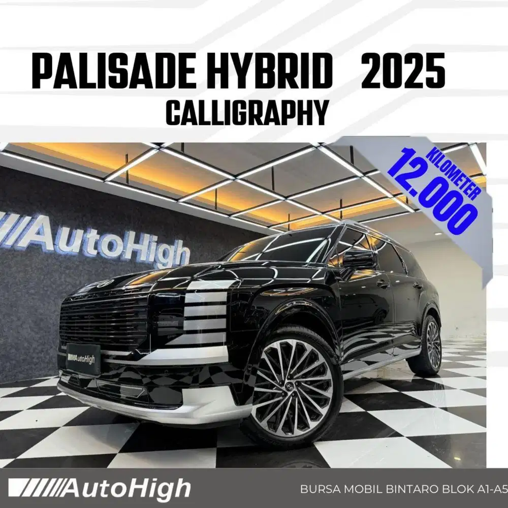 DP10% [Km12.000] Palisade Hybrid Calligraphy 2025 Reg 2026 #AUTOHIGH