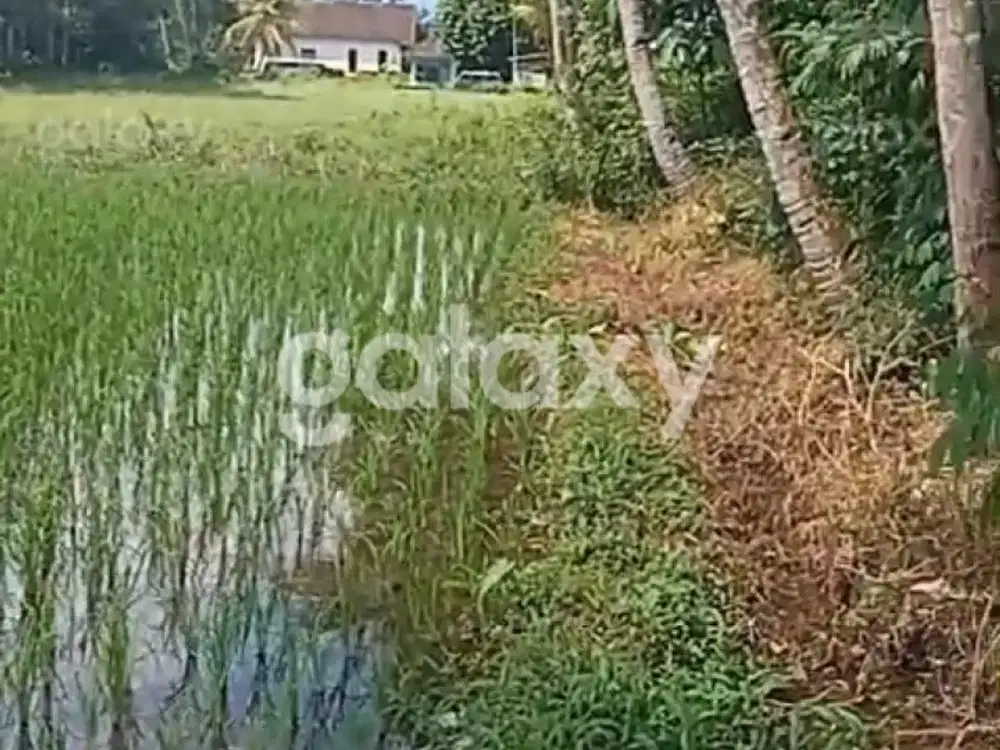 Tanah Strategis 600 m2 Karangkates Sumberpucung Malang GMK03753