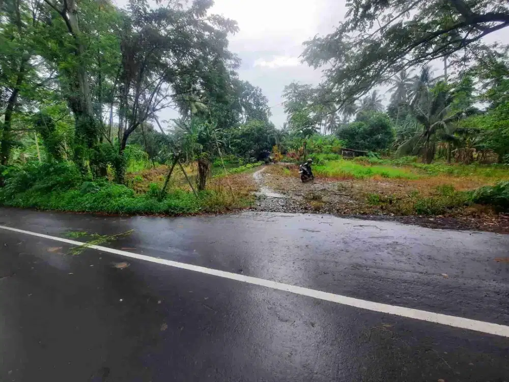 DIJUAL CEPAT TANAH MENARIK DAN STRATEGIS DAERAH SEA, HARGA SANGAT MURAH