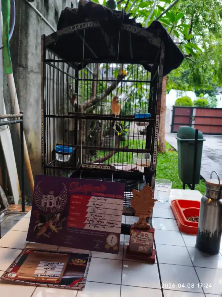 Kenari AFS mantan Atlit