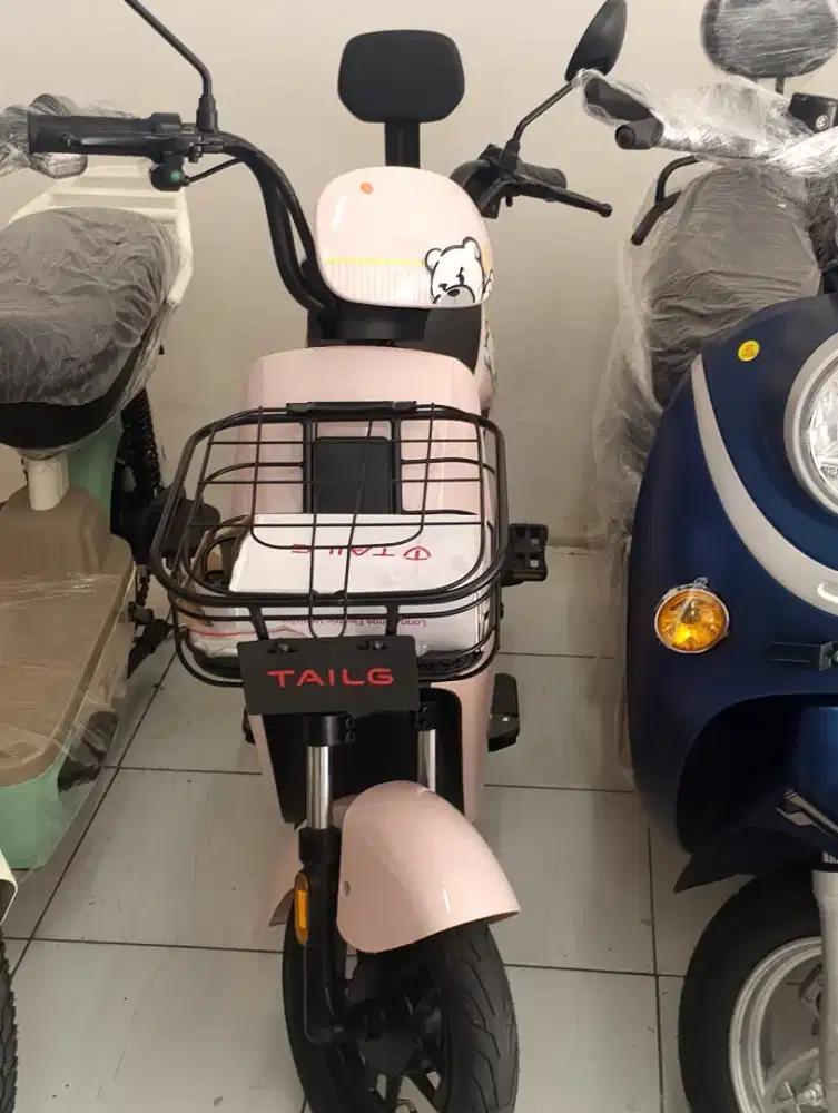 SEPEDA LISTRIK TAILG ( BAGUS EBIKE )