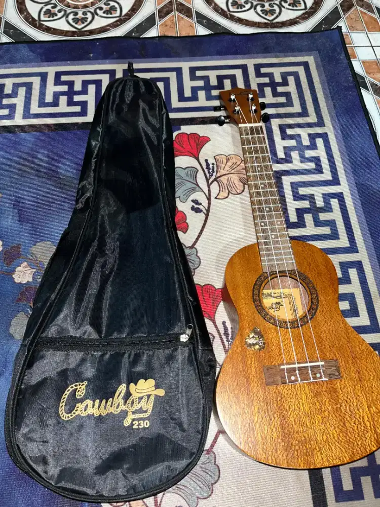 UKULELE edisi di beliin ortu jual aja ga kepake