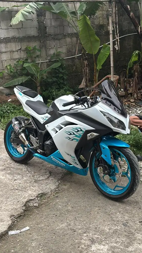 KAWASAKI NINJA 250FI 2013