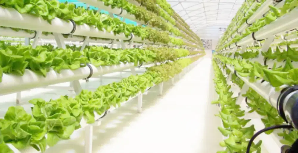 perlengkapan hidroponik 1 set hampir lengkap