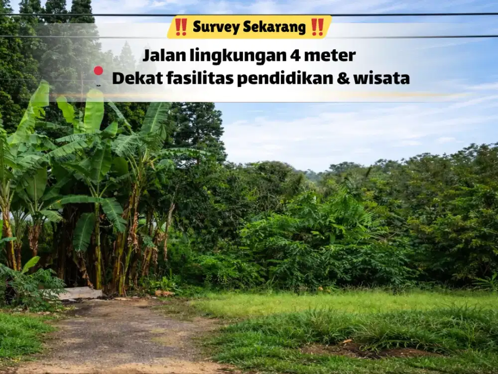 Kesempatan Langka! Tanah Luas di Kawasan Setiabudi