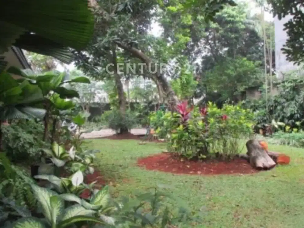 Dijual Rumah Tanah Luas Asri Full Furnished Di Kampung Utan