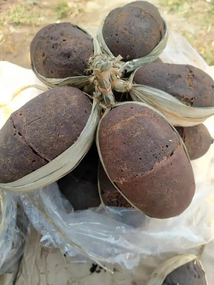 Gula aren pacang pari