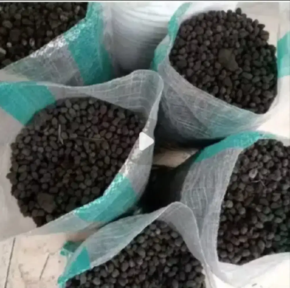 Kohe kambing  dan sekam