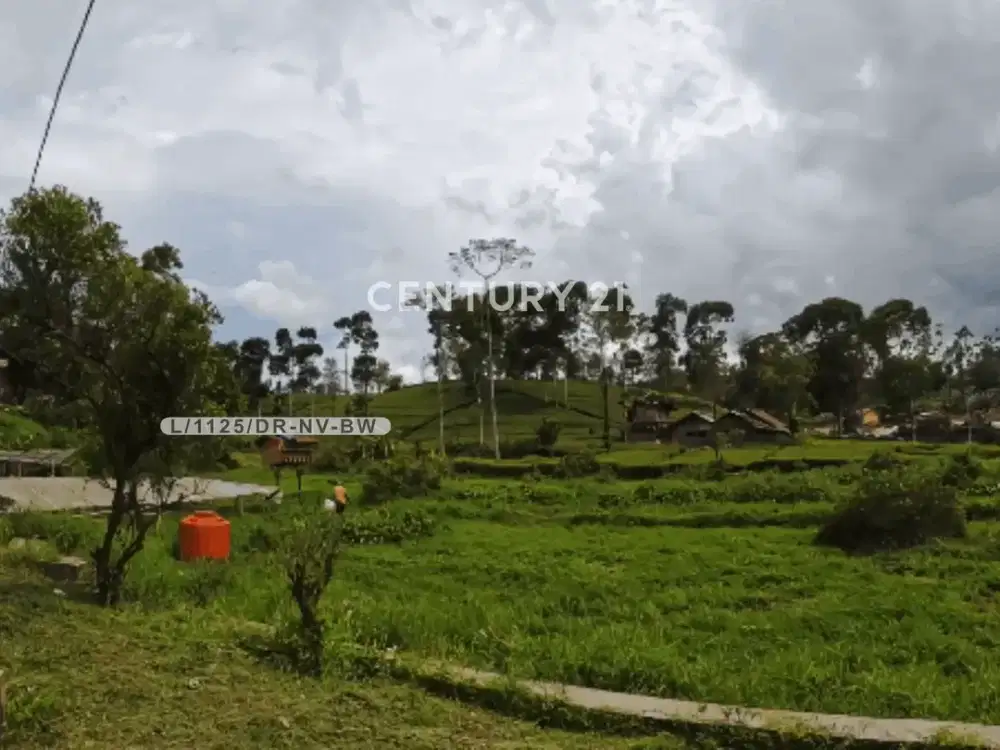 Tanah Luas Plus Bangunan Rumah Siap Bangun Di Ciwidey Bandung