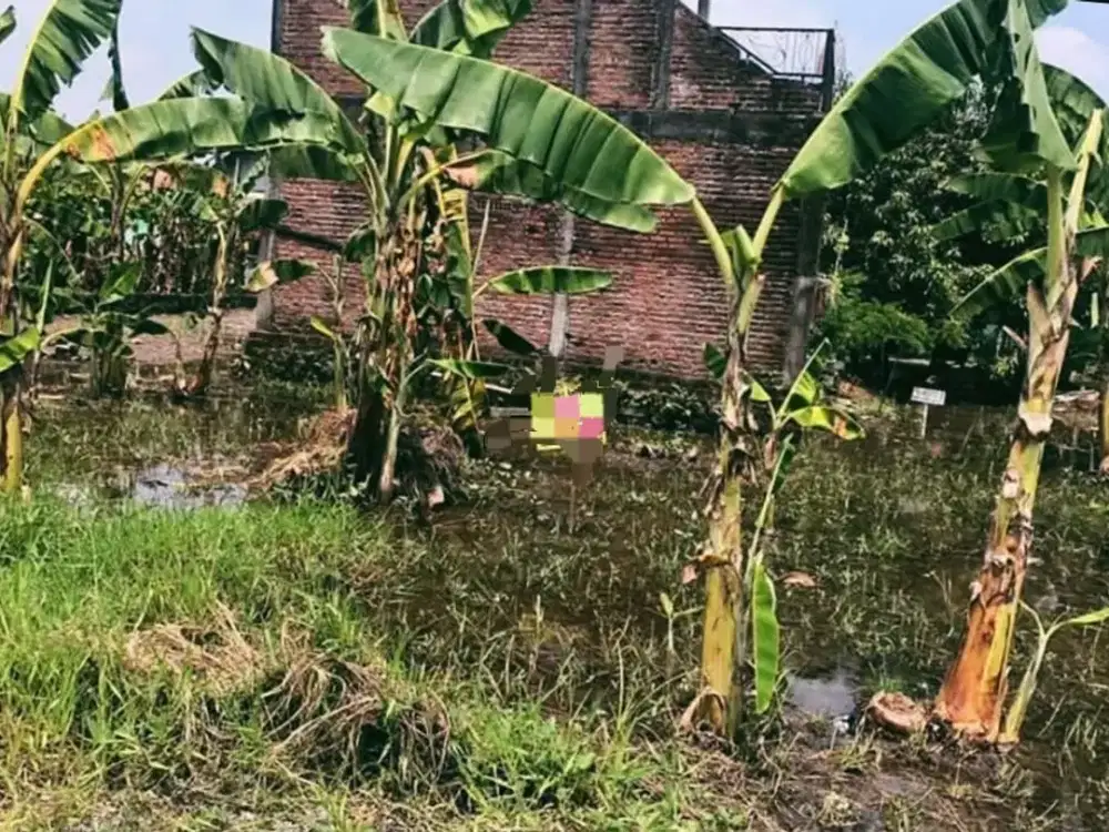 DIJUAL TANAH JAPANAN KOTA PASURUAN