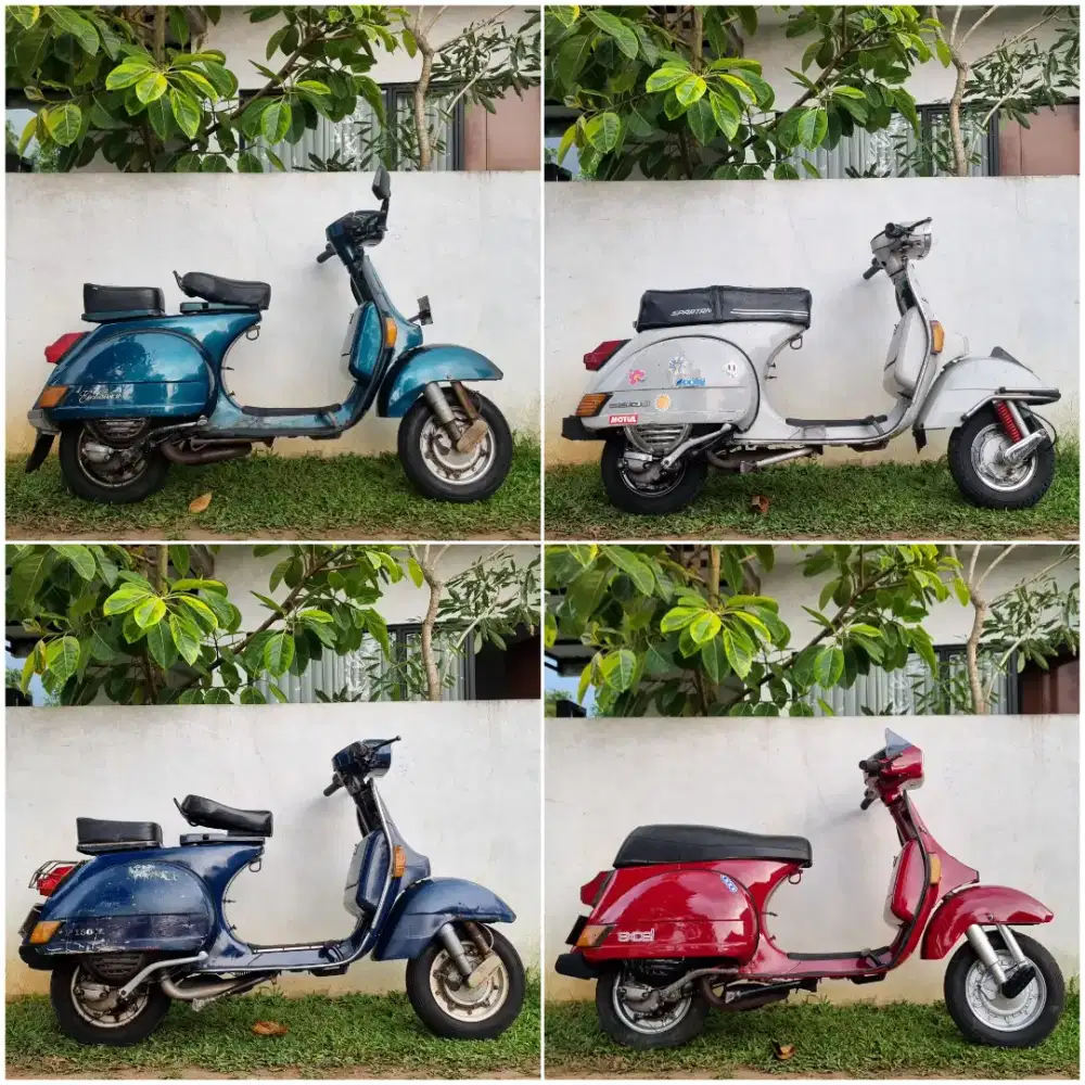 Exclusive 2, PS Sera, Exclusive 1 & Excel