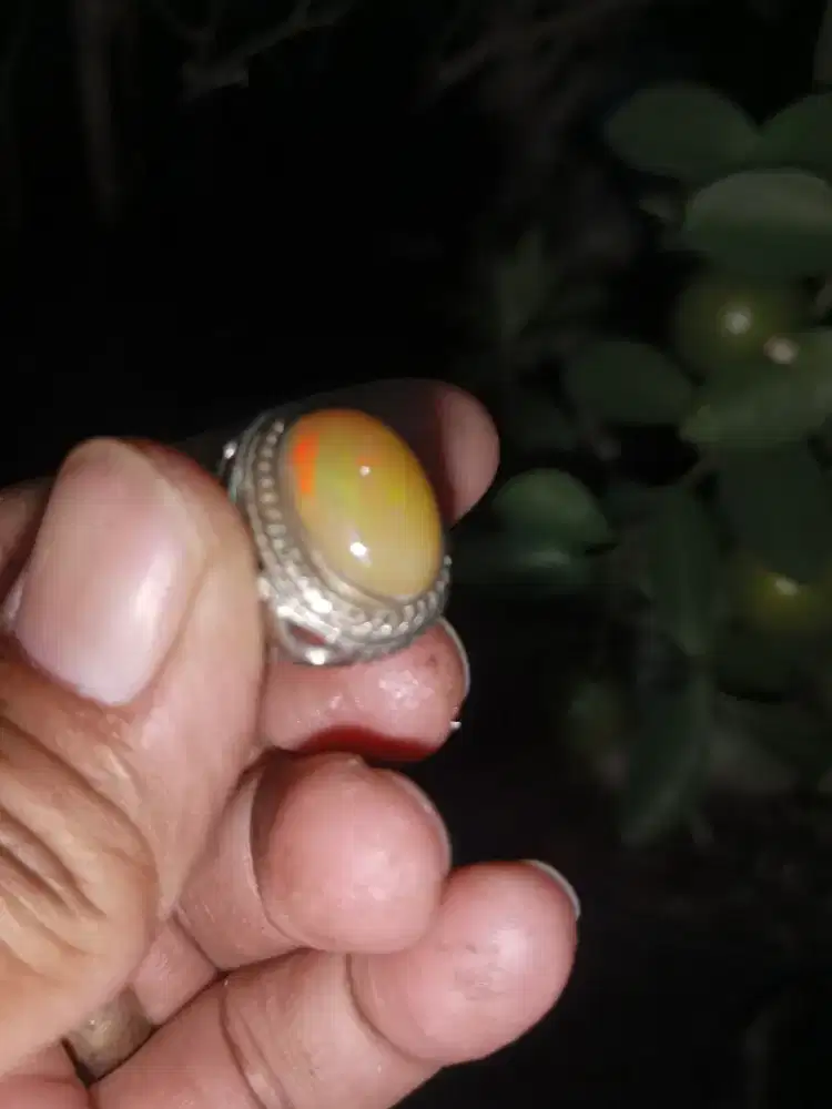 Kalimaya Afrika, ( musim panas jadi susu)